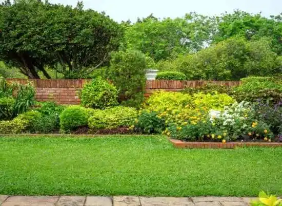 landscaping services Brighton